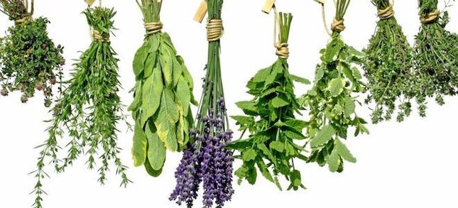 Mga halamang gamot upang mapataas ang potency sa mga lalaki